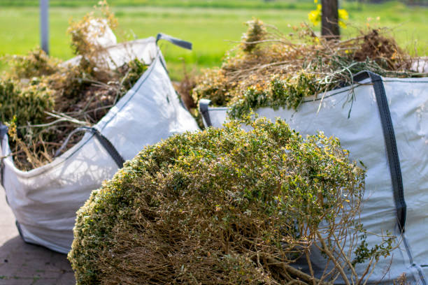 Best Yard Waste Removal  in Hancock, MD